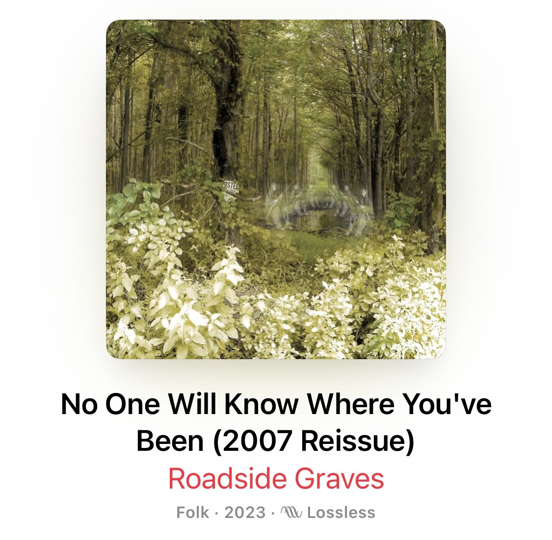Roadside Graves tweet media