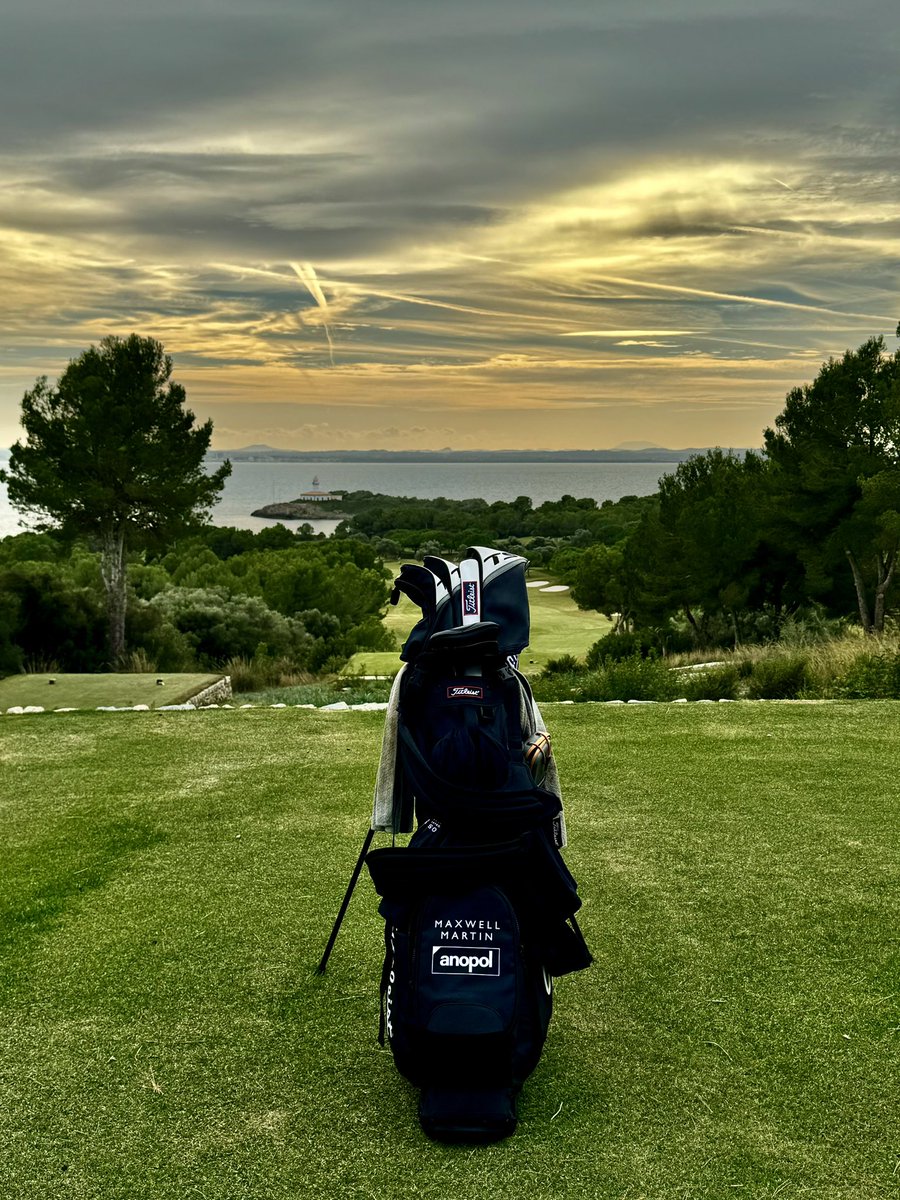 Maxwell Martin tweet media