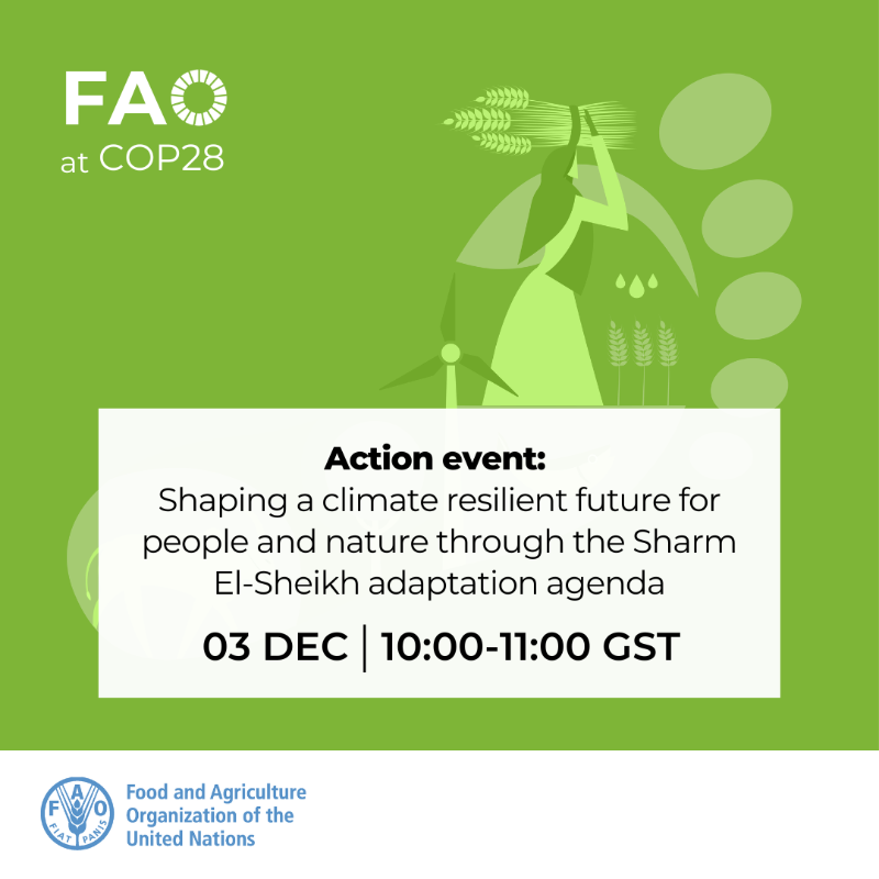 FAO in Emergencies (@faoemergencies) on Twitter photo #SaveTheDate | Join <a href="/FAO/">Food and Agriculture Organization</a> and <a href="/grp_resilience/">globalresilience.bsky.social</a> at this #COP28 event on climate adaptation and resilience action work specifically for those on the frontlines who are most at risk and impacted or affected by climate change today.
Follow 👉 bit.ly/47X1x07
#ClimateAction #SaveTheDate | Join <a href="/FAO/">Food and Agriculture Organization</a> and <a href="/grp_resilience/">globalresilience.bsky.social</a> at this #COP28 event on climate adaptation and resilience action work specifically for those on the frontlines who are most at risk and impacted or affected by climate change today.
Follow 👉 bit.ly/47X1x07
#ClimateAction