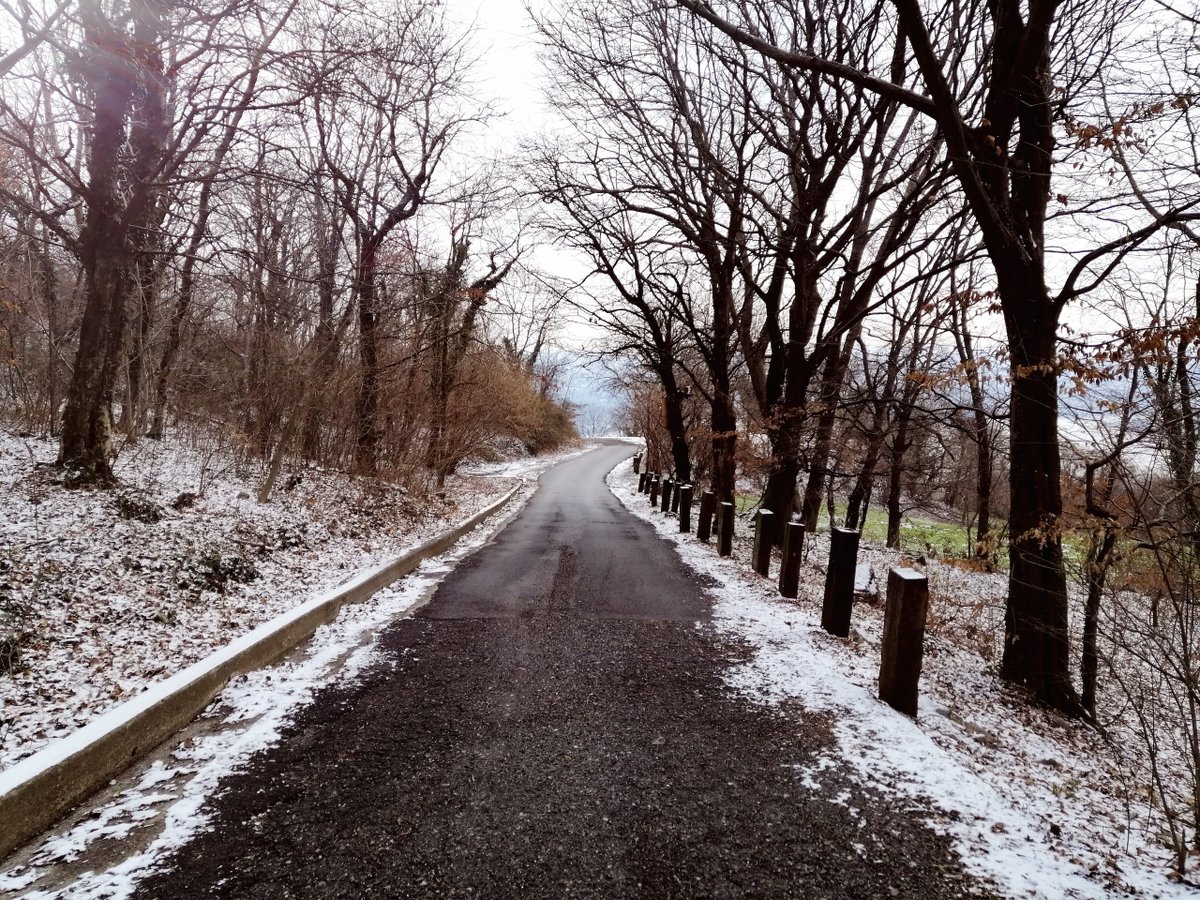 EuroGeosciences's tweet photo. December can be a stressful time of year, with deadlines, events, &amp; perhaps challenging travel &amp;/or family gatherings to manage. This year EGU's #EarlyCareerScientist #LifeWorkBalance group offer instead exercises for a #mindful December.

Take a breath: https://t.co/sdaxReeOxN https://t.co/WFFWjTVtsk
