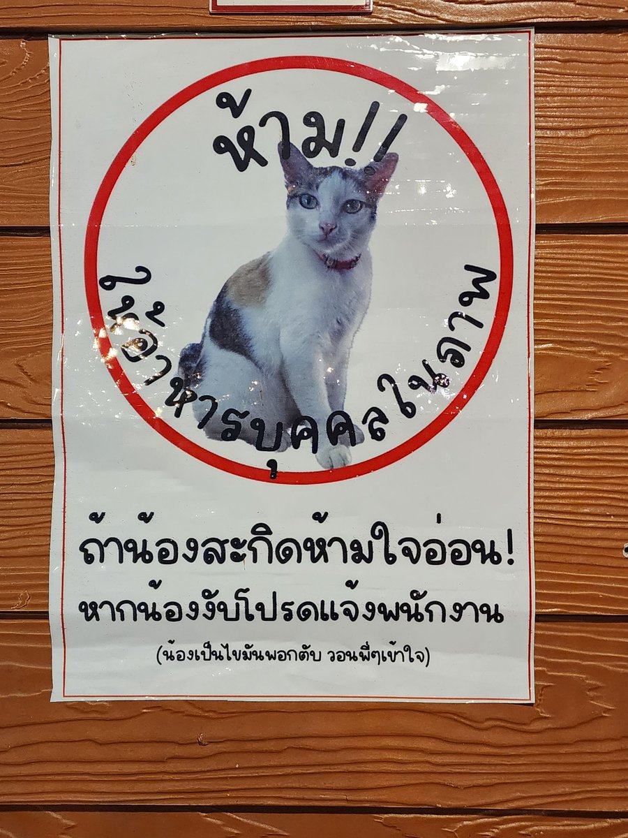 อาหมีʕ·ᴥ·ʔ คนทำตุ๊กตาคนหนึ่ง ·͜·♡ tweet media
