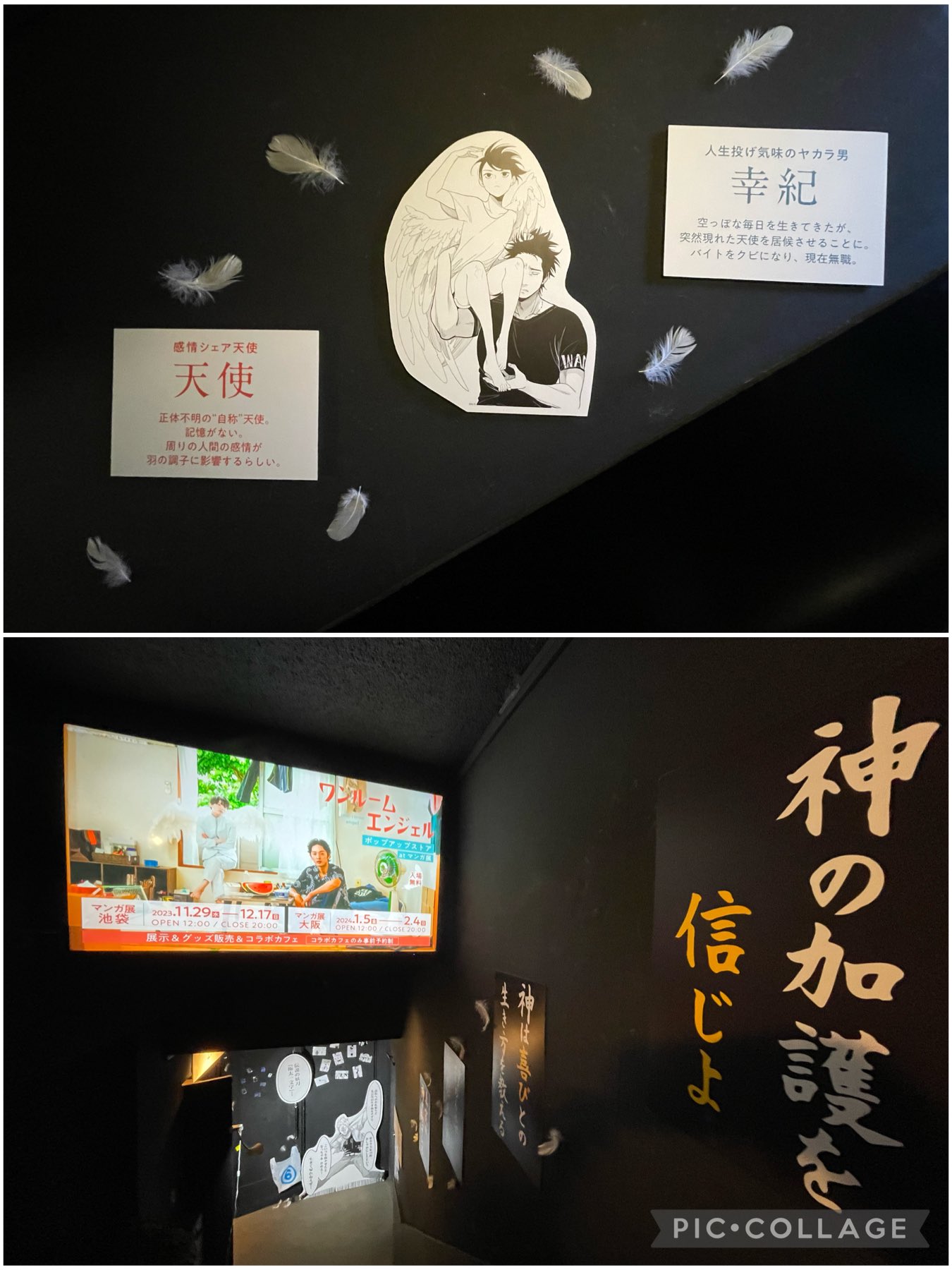 ワンルームエンジェル はらだ カフェ 特典 コースター ステッカー 天使 幸紀 はらだ 『ワンルームエンジェル』 マンガ展 ステッカー 天使【BL