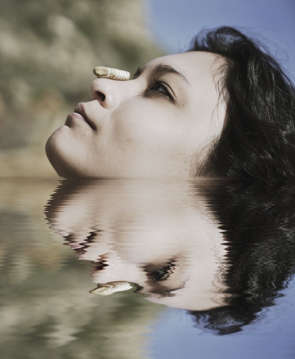 ExploreTheArch tweet media