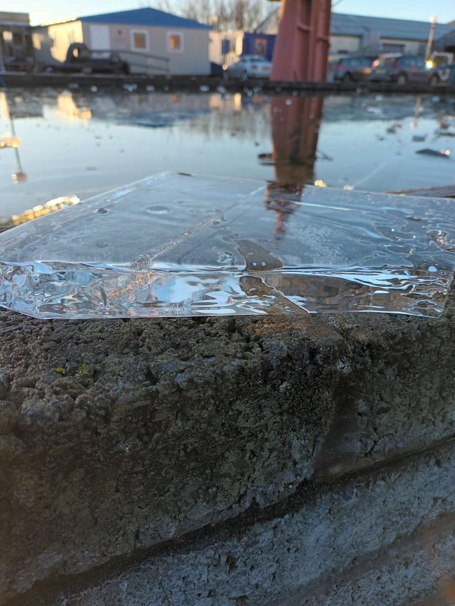 Sharon Murdoch tweet media