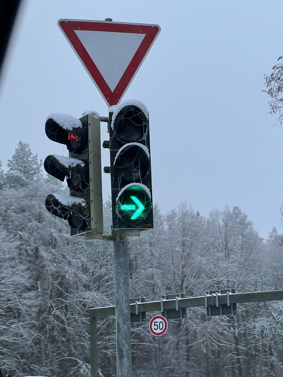 Als ich auf den Weg zum Zug nach Berlin war dachte ich mir mal ich fotografiere mal die spinnenweben im Eis is echt gut geworden dafür das wir am fahren waren #shotoniphone13pro <a href="/nessi090/">Marco Nestler</a> was sagst du ?