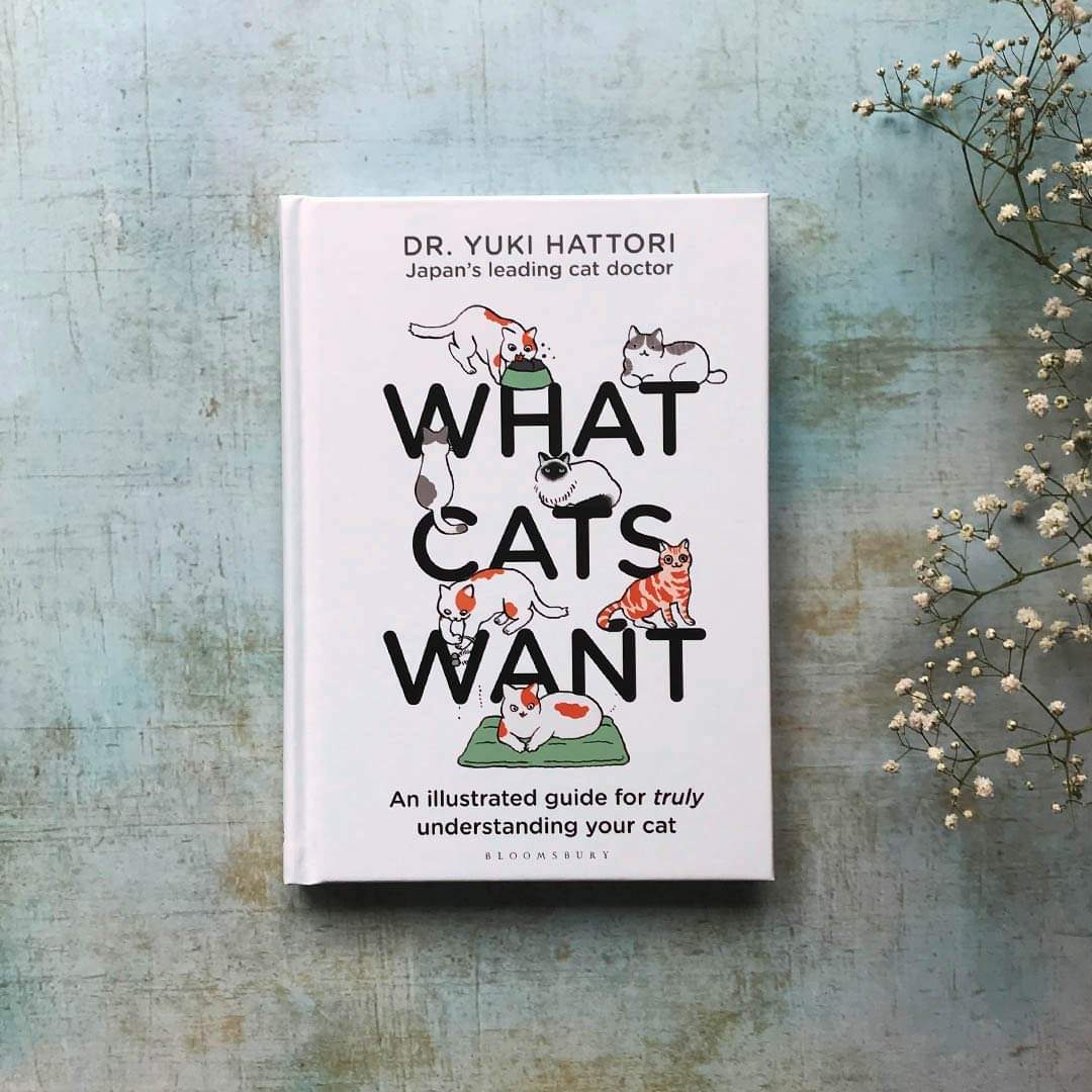 Booksmith2014's tweet photo. Psychology book for dog and cat lovers. What do your pet body language mean?
#Booksmith #Bookshop #BookshopinThailand #ร้านหนังสืออิสระ #psychology #books #Dogs #englishbook #หนังสือจิตวิทยาสัตว์ https://t.co/c6H39RbRQL