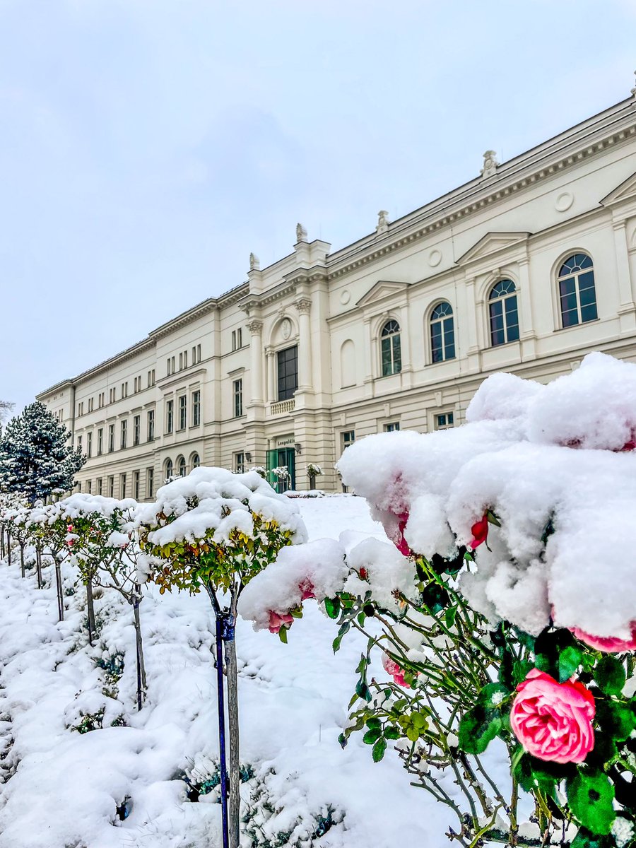 #WinterWonderland in Halle 

🔬science meeting <a href="/YoungDgk/">Young DGK</a> 
📍Leopoldina
