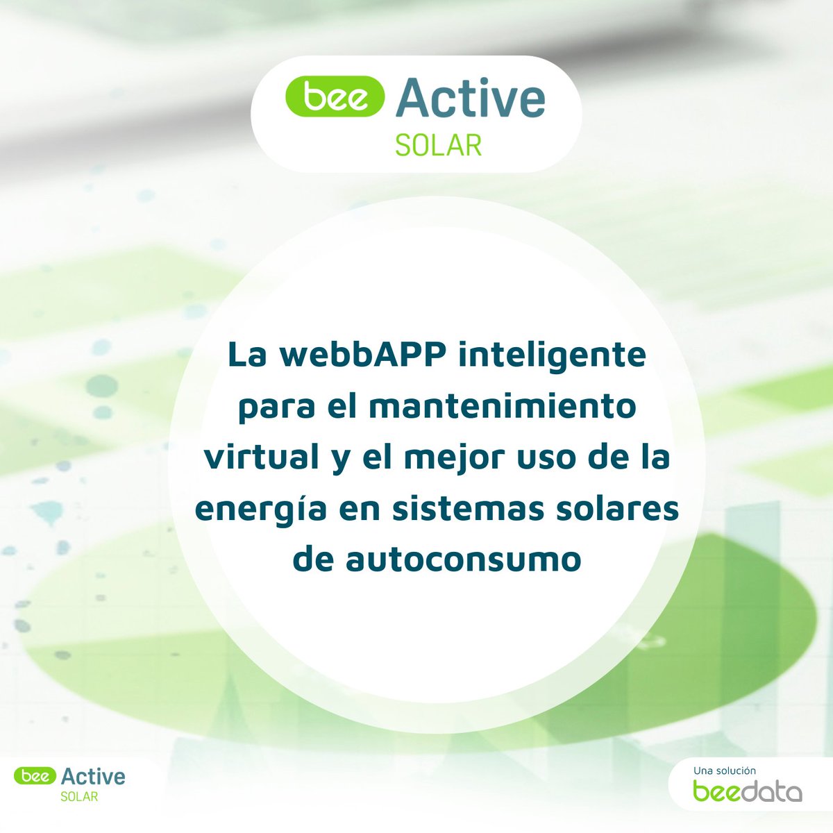 BEEDATA ANALYTICS tweet media