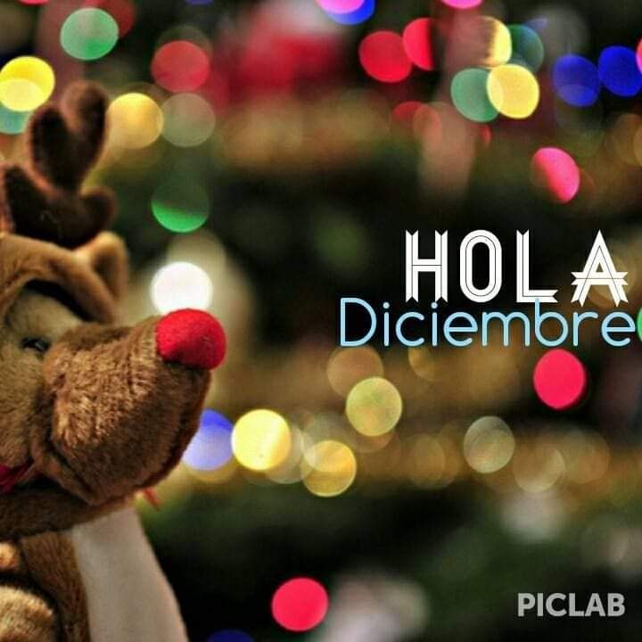 ElisabethMarM's tweet image. Buenos días Mundo!!!♥️

El secreto para vivir bien y más tiempo es:
Comer la mitad,caminar el doble,reír el triple y AMAR sin medida....!!!!!🌹

Bienvenido Diciembre!🥳

#01Diciembre #01Dec #BuenosDias #BienvenidoDiciembre #FelizViernesATodos #FF