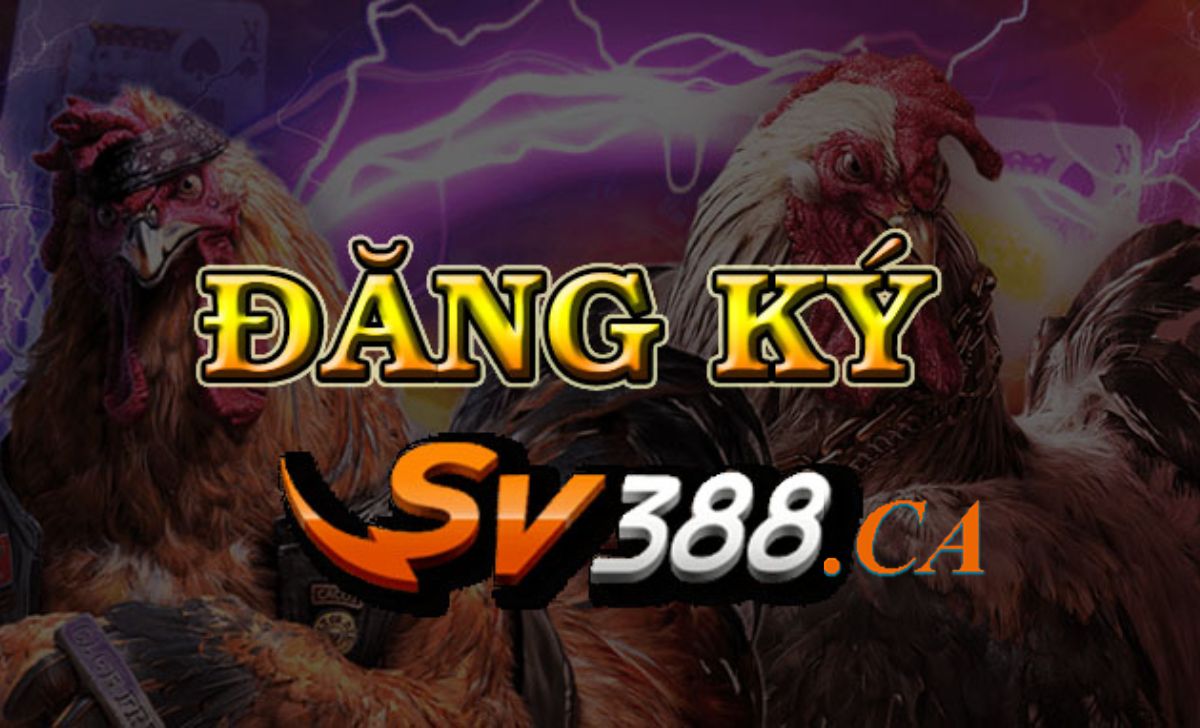 Sv388ca's tweet photo. 🔴SV388 nơi cung cấp những trận đá gà nhanh  hấp dẫn – kịch tính hàng đầu Việt Nam.
✔️Nhanh tay đăng ký để nhận ngay 100% khuyến mãi NẠP RÚT NHANH CHÓNG CHỈ TỪ 2 - 5 PHÚT. 
#sv388 #dagasv388 #nhacaisv388 #dagatructiep #dangkysv388 #dagathomo #cacuocdaga https://t.co/Mo8Ekd2Nt8