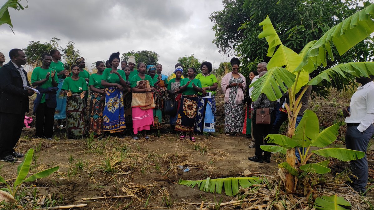FAOMalawi's tweet photo. #FFSStudyTour🇲🇼🇪🇷
The Eritrea delegation is in Ntcheu today. The team has paid a courtesy call to the district council and later visited Tadala #FFS to learn more on restoration studies  being promoted under #AREECA. https://t.co/afIwGXCqjL