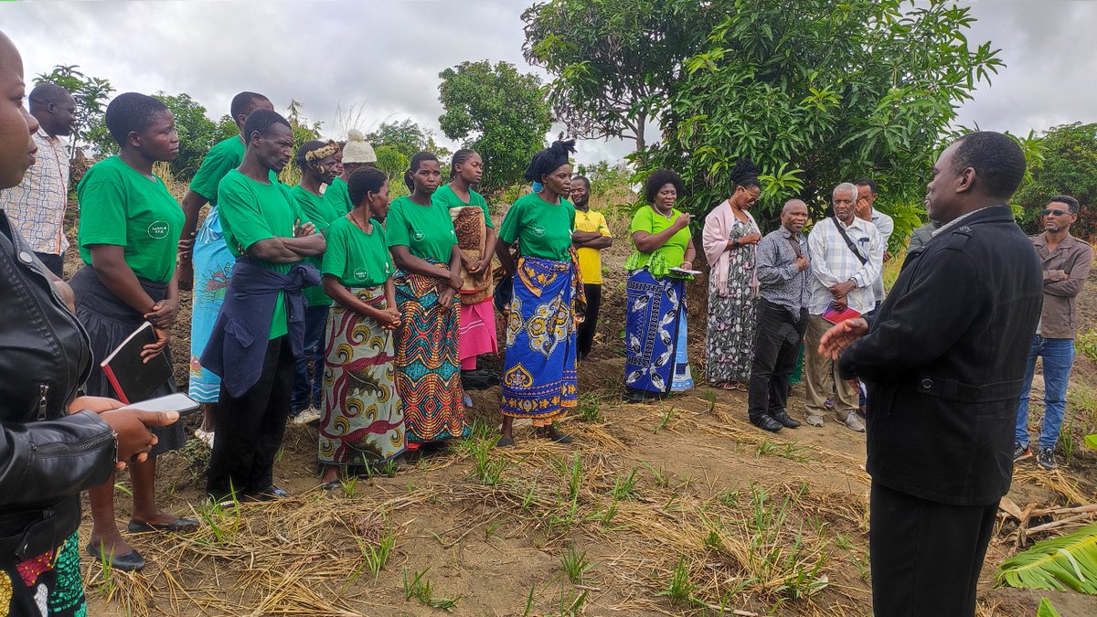 FAOMalawi's tweet photo. #FFSStudyTour🇲🇼🇪🇷
The Eritrea delegation is in Ntcheu today. The team has paid a courtesy call to the district council and later visited Tadala #FFS to learn more on restoration studies  being promoted under #AREECA. https://t.co/afIwGXCqjL