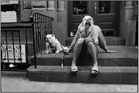 louisiruela's tweet photo. Paying homage to one of the best and most influential photographers of our time.

His work will be forever appreciated.

Elliot Erwitt. RIP.🖤 https://t.co/UmAKrYfxSU