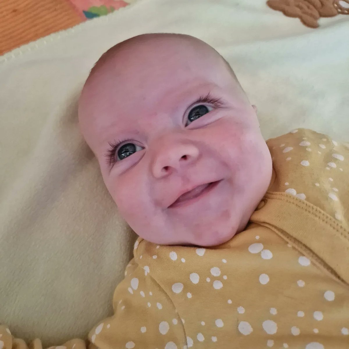 Nicole Fitzsimons tweet media