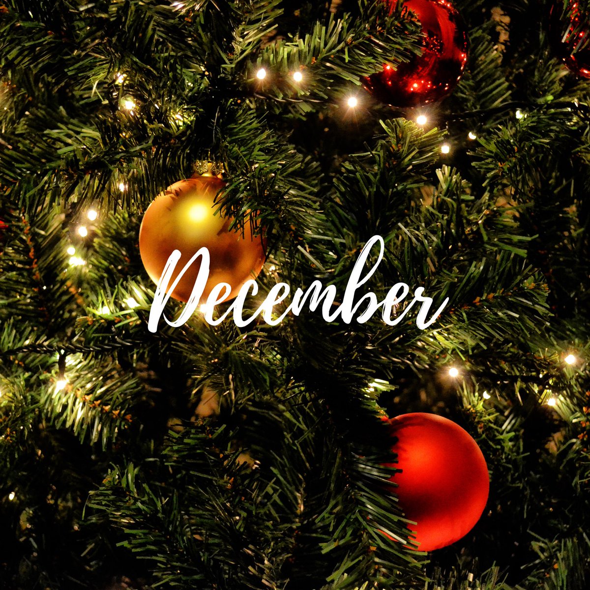 MorfaSP's tweet image. Hello December ❄. Only 24 sleeps to go... 🎅 🎄 🎁

Let us know in the comments what you love most about Christmastime 👇

#hellodecember #december #newmonth #christmas #christmastime #christmas2023