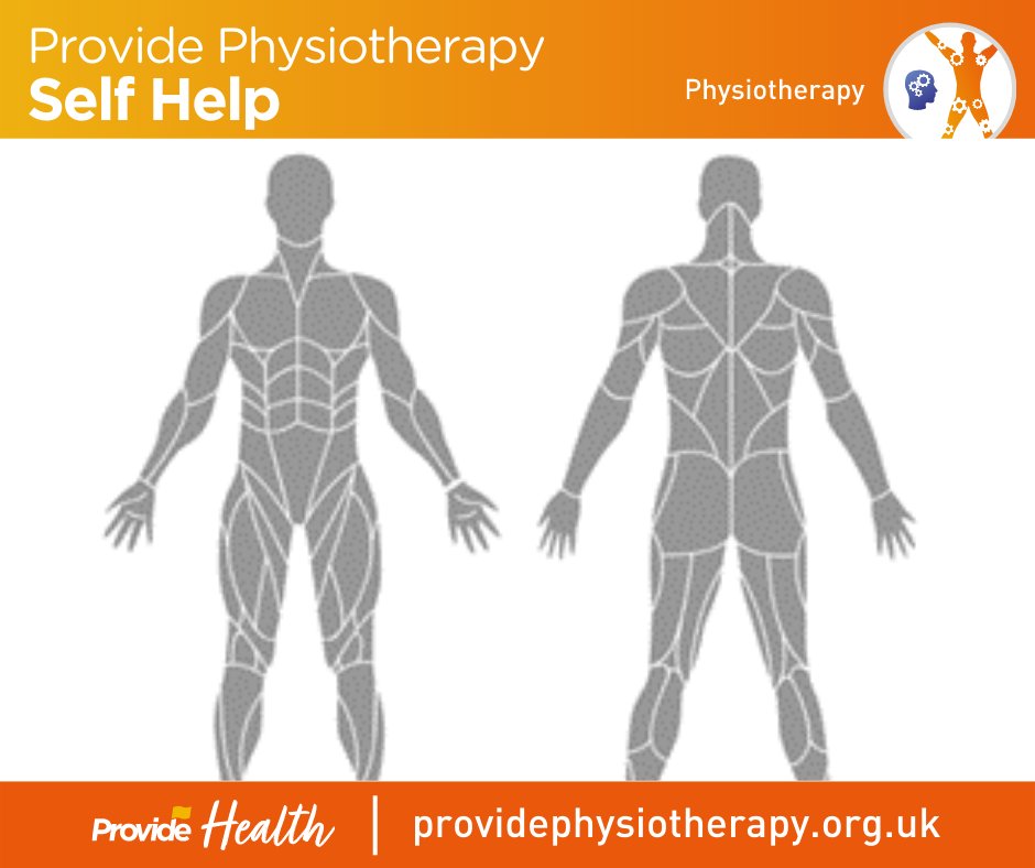 The self-help section on our website is a perfect way for you to understand a little more about what the potential causes are for your pain, some initial management advice and support whilst awaiting your physiotherapy assessment.
 
sbee.link/639jnqpr7e