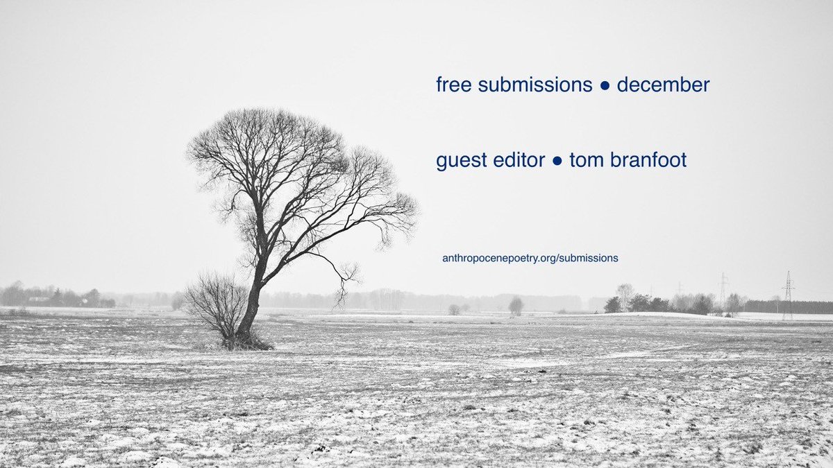 free submissions are open retweet for good karma anthropocenepoetry.org/submissions