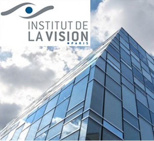 matigoldin's tweet photo. 📢 A postdoctoral position in Systems Neuroscience is available at the Vision Institute in Paris.  More info in this link https://t.co/fIN7egrO9x https://t.co/XoB8bRgwZo