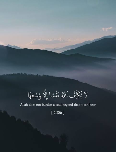 Wishing all the best to Second Year for the Professional exam commencing tomorrow onwards. 🤍

You have dont it before, you can do it now! 💪💫