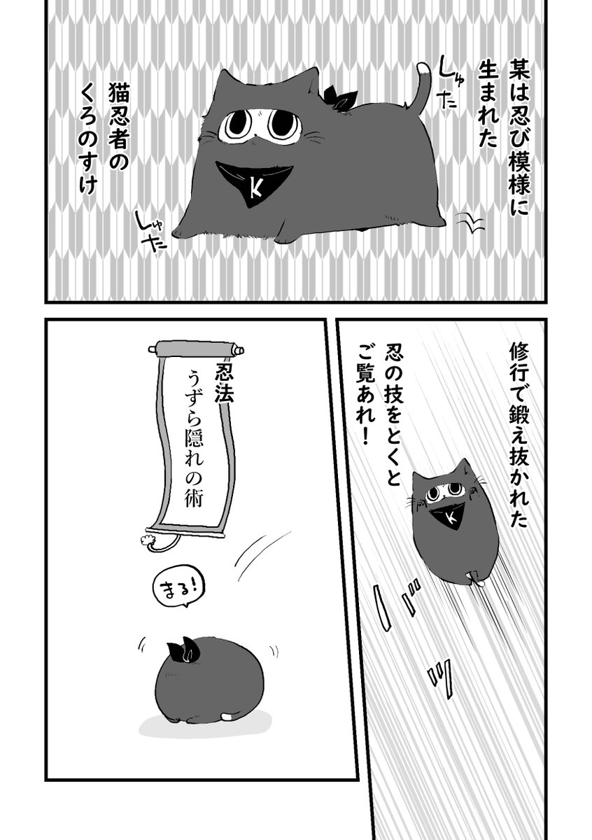 猫から見た猫の世界のお話(1/2)