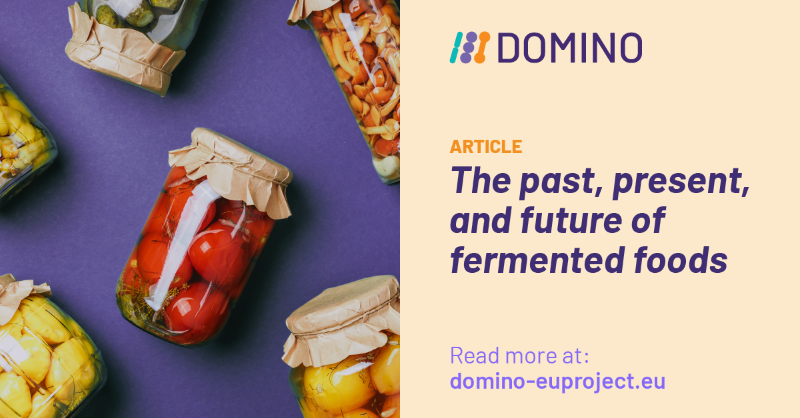 SciFoodHealth's tweet photo. Explore the flavourful journey of fermented foods that 🥬:
1️⃣ Blends its rich history into today's tastes 🌽
2️⃣ Opens the door to future sustainable food production! 🍏
Dive into DOMINO's latest article ⬇️
#DOMINO_EU