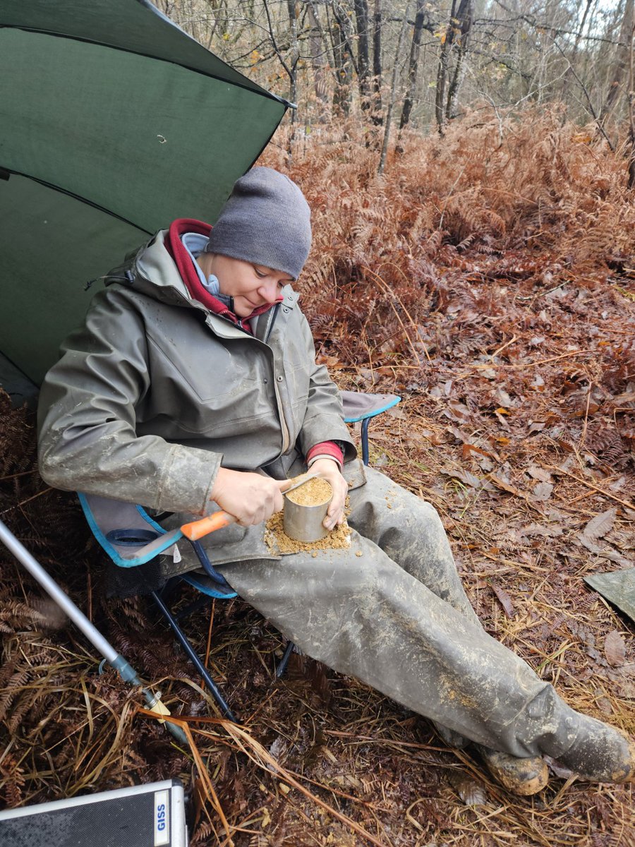 Nicolas Saby tweet media