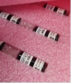 Al novembre de 2023 s’han rebut els xips que s’han d’implantar als esturions per a la seva localització al tram final del riu Ebre quan s’alliberin