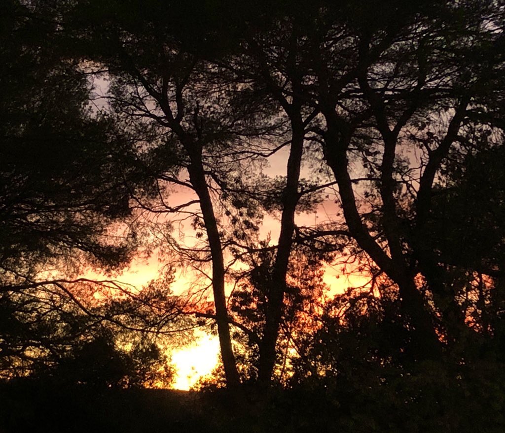 zeLaure_'s tweet photo. L’#Elohim de #Paix
E n #Pourpre et #Or
S ur la #NoteClé #Grand #Dessein De #Dieu
S agesse #Amour #Puissance
E tendus
P ar Toi
T oi #Saint #Être
E n Ta #Flamme #Dorée
L a Flamme Du #Coeur
O #Paix pose Ton #Manteau
H abille Notre #Douce #Terre
I nnonde Nous
M erci
#AYAM https://t.co/zc6ZktOxyt