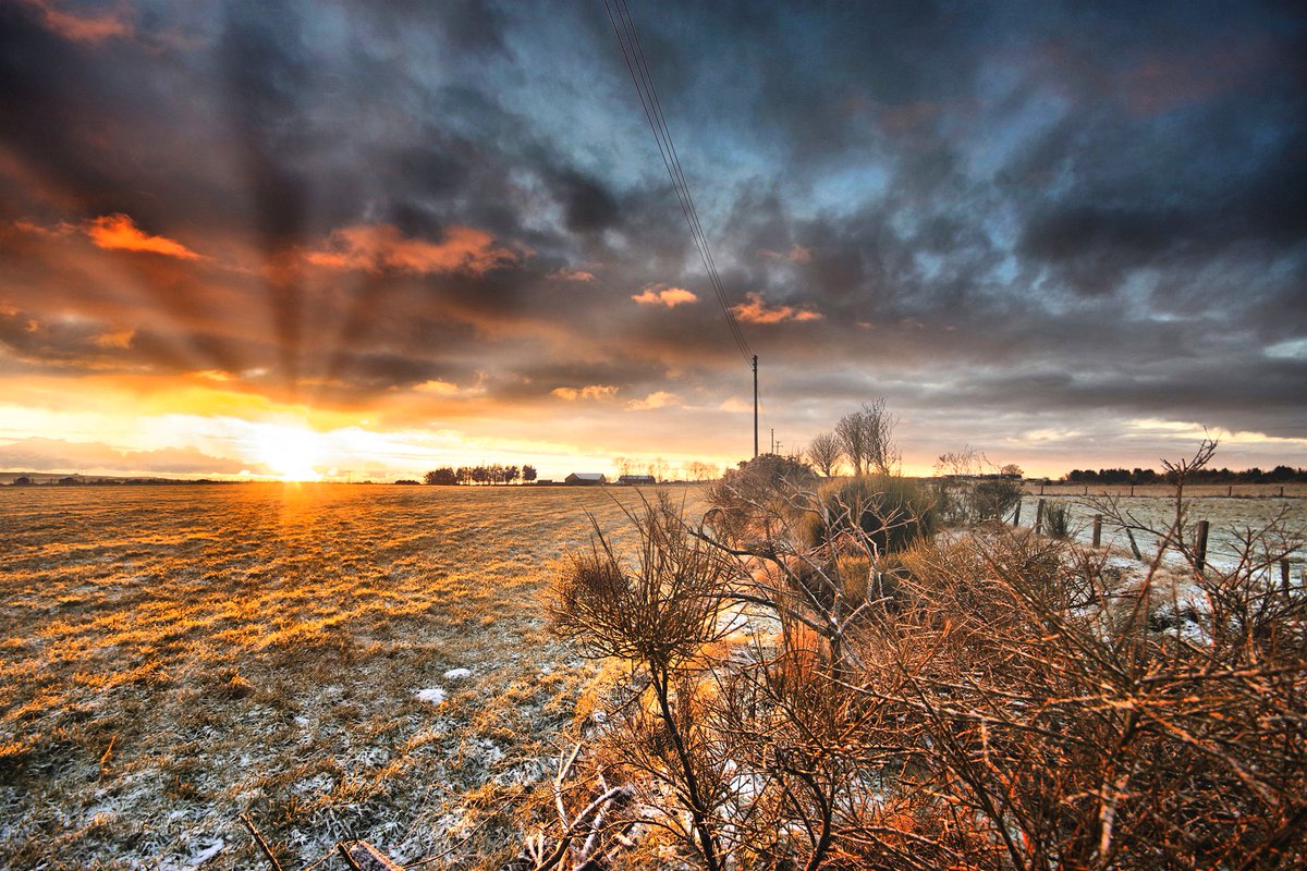 It's a frosty sunrise from Aberdeenshire 🥶🌞 @visitabdn @VisitScotland @bbcweather @BBCScotWeather @joydunlop @JudithRalston @SeanBattyTV #ThePhotoHour #Sunrise #Aberdeenshire #Scotland