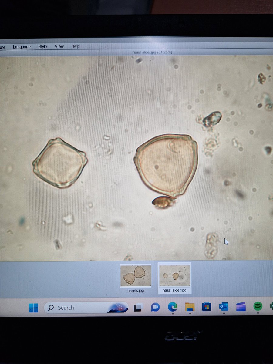 Preseli Pollen Project tweet media