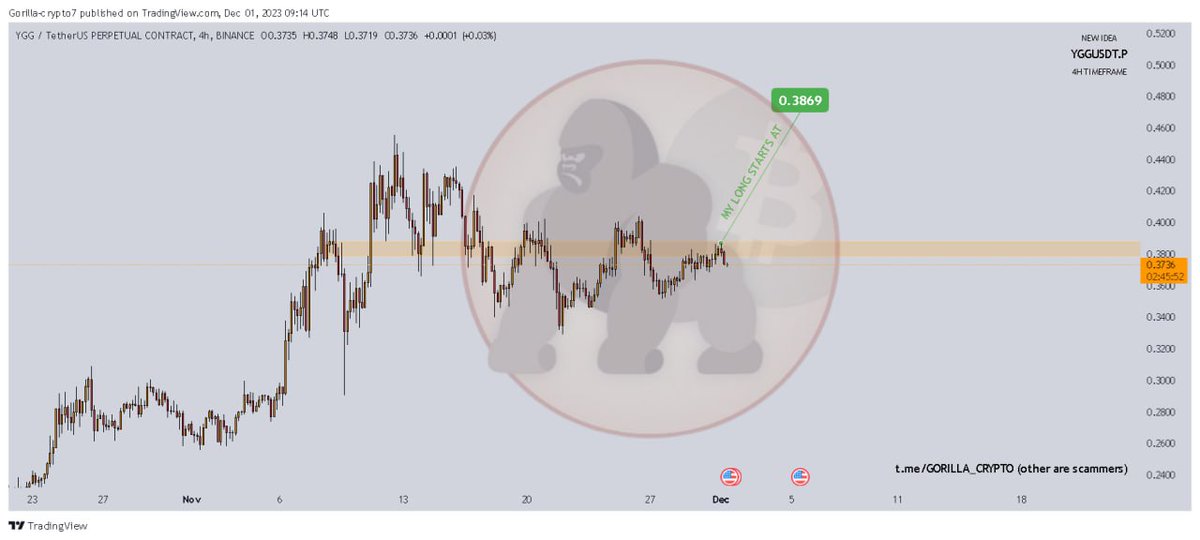 Crypto Gorilla (@gorillacrypto78) on Twitter photo 