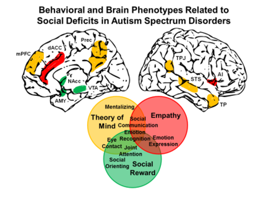 Presenting the first glimpse of our findings from BMBF-funded ASD.net study today 5:15pm at #DGPPN Kongress in #Berlin - some interesting #theory of #MIND findings related to #oxytocin in our fMRI data