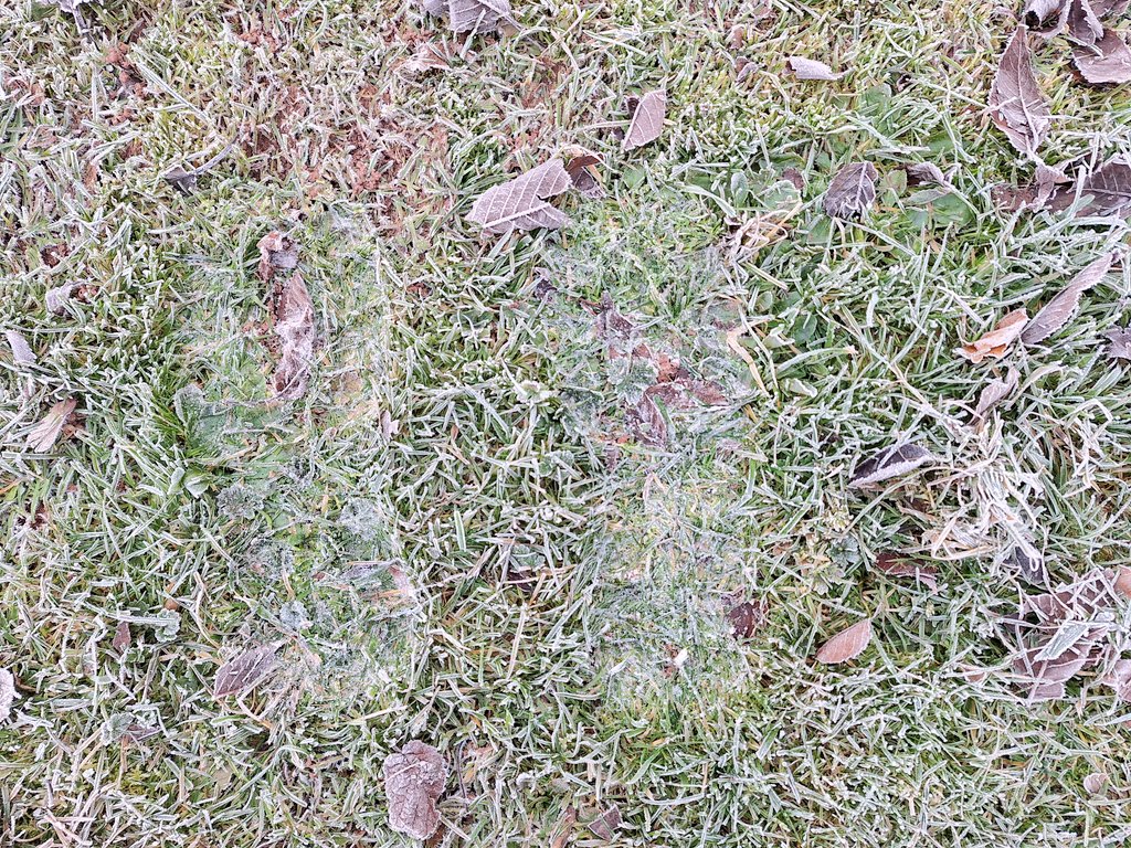 WmPowell2021's tweet photo. #WinterIsComing #Talgarth #BannauBrycheiniog #MynyddoeddDuon #BrychansCountry 👑 ❄️ https://t.co/yE8esF6p8z