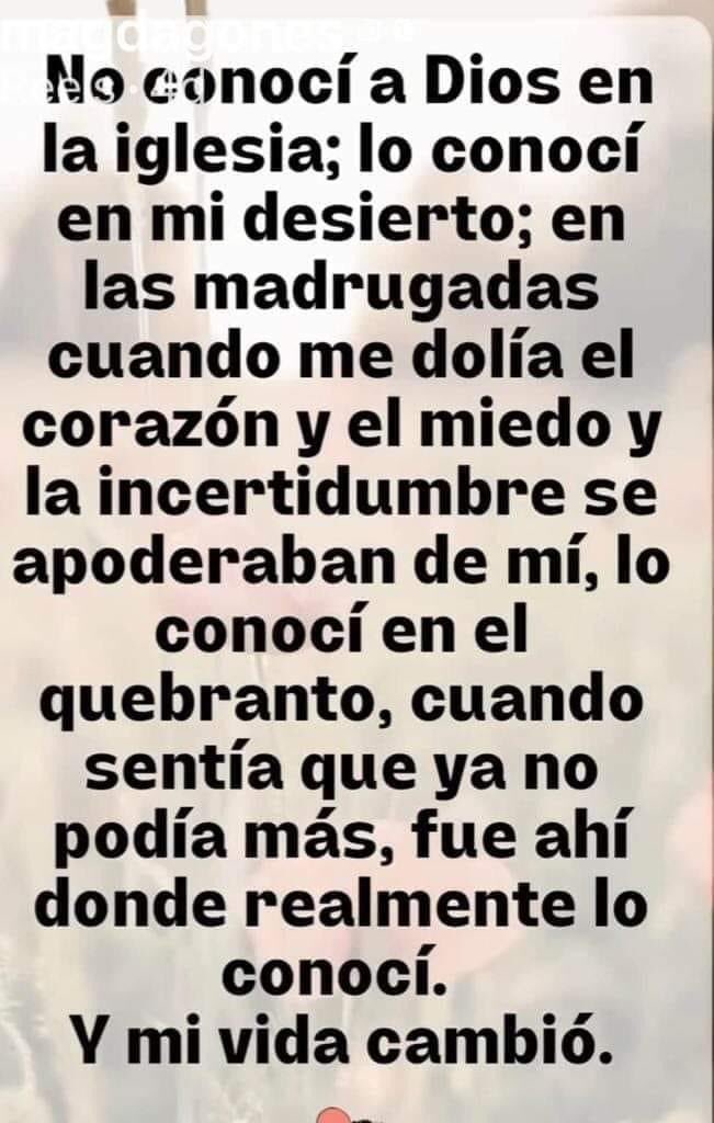 Milo_Zapata's tweet photo. Abrazo virtual @yiyilela @BeltrangGil @DiosCatire8 @ArriojaTorres @feneziz @elvia_cuauro @magdaz54
#ConociendoADios https://t.co/3K7gbLHvrT