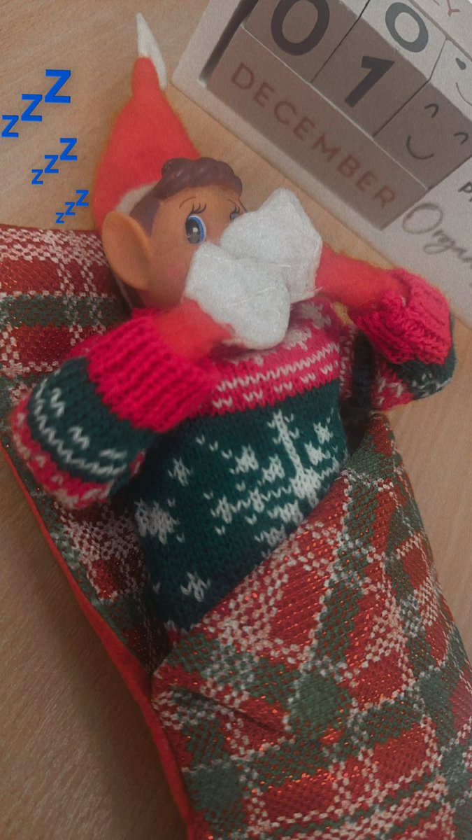 ❄️🎅🏼✨1st of December ❄️🎅🏼✨ 

Elfie’s returned but slept in for his first day back!! 💤🤦‍♀️ 

It must have been a looong journey from the North Pole 🦌🔴👣

#ElfieIsBack #Christmas #24Day’s #ChristmasCountdown