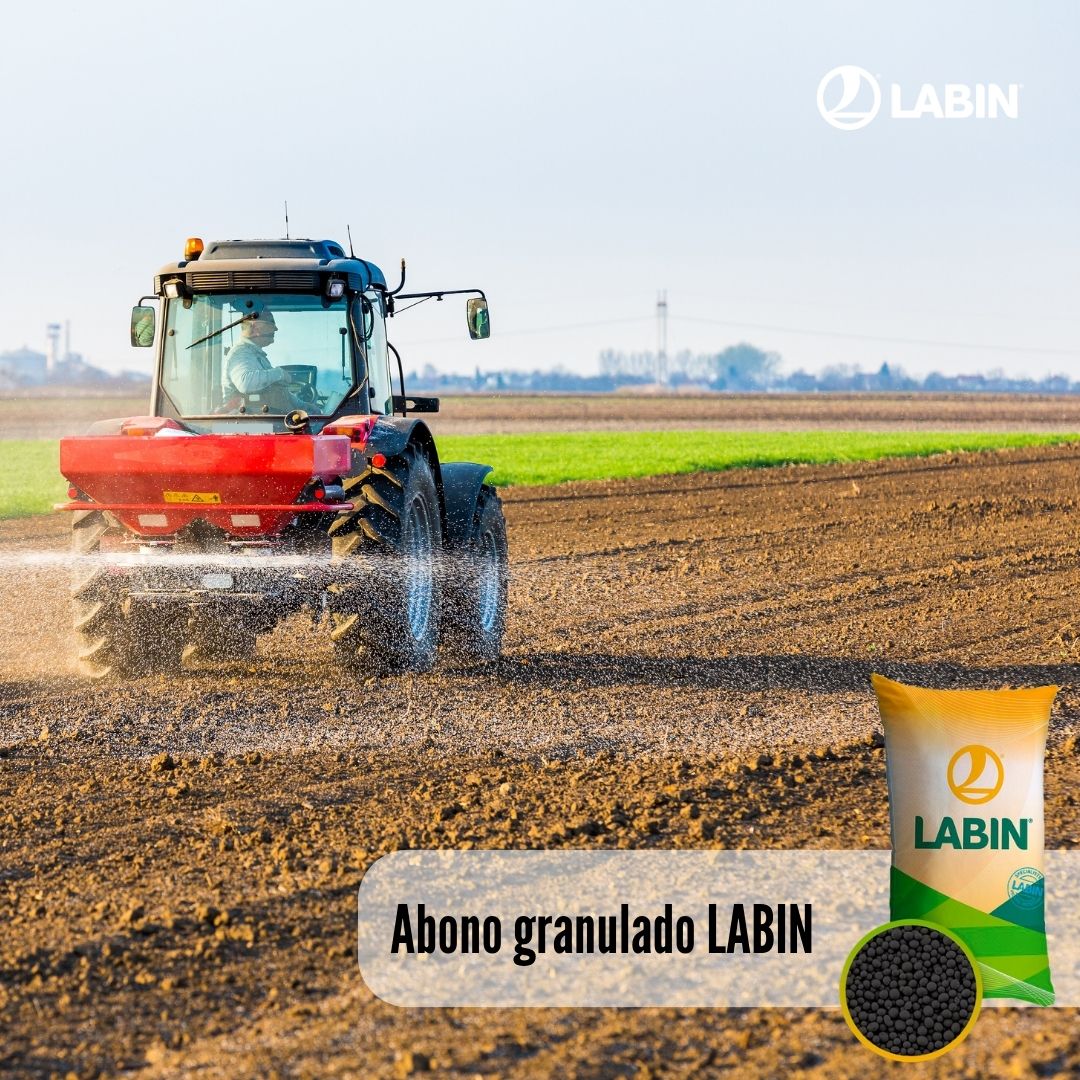 Prepara tu cultivo leñoso para la campaña, con los abonos granulados LABIN. Independientemente cual sea tu cultivo; VIÑEDO, ALMENDRO o PISTACHO, aplica LABIN, tanto para cultivo convencional como ecológico 👌

labin.net/nutricion-vege…

#albacete #cuenca #ciudadreal