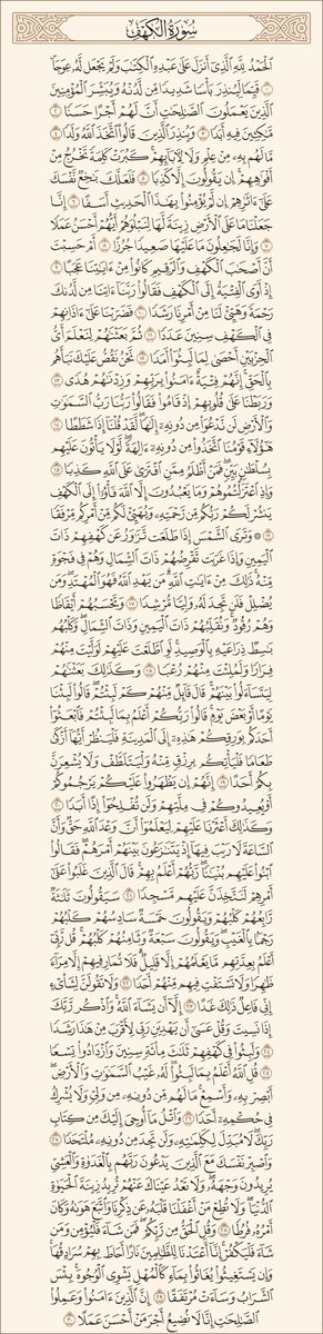 𐚁 tweet media