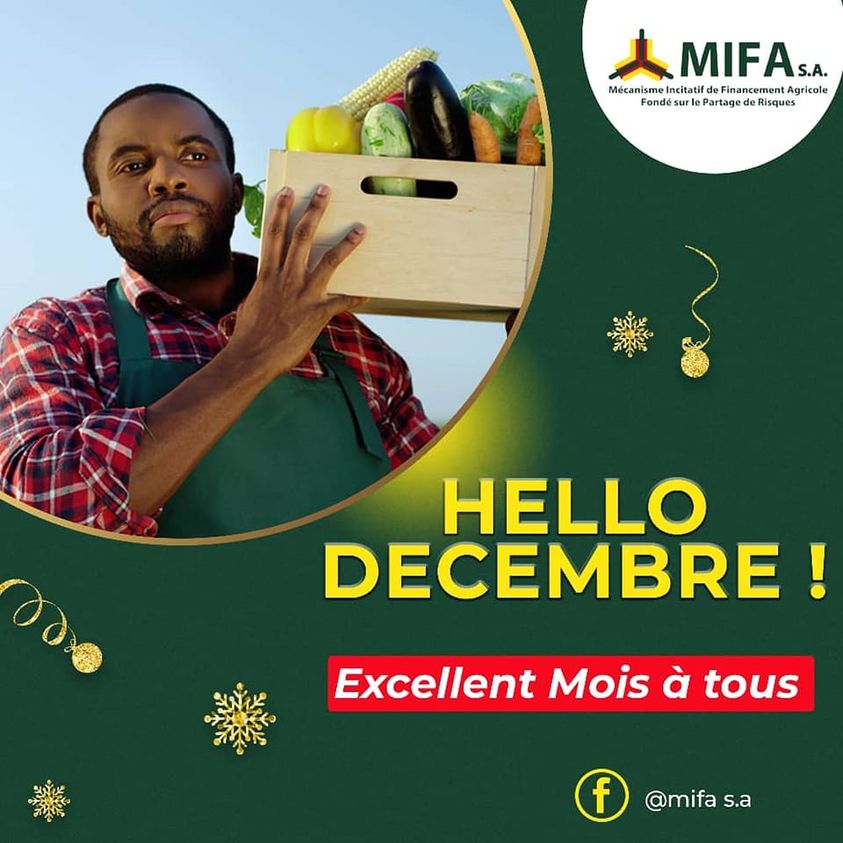 C'est décembre !
Célébrons avec enthousiasme ce dernier mois de l'année et attendons sereinement les promesses et les joies de la très prochaine nouvelle année.