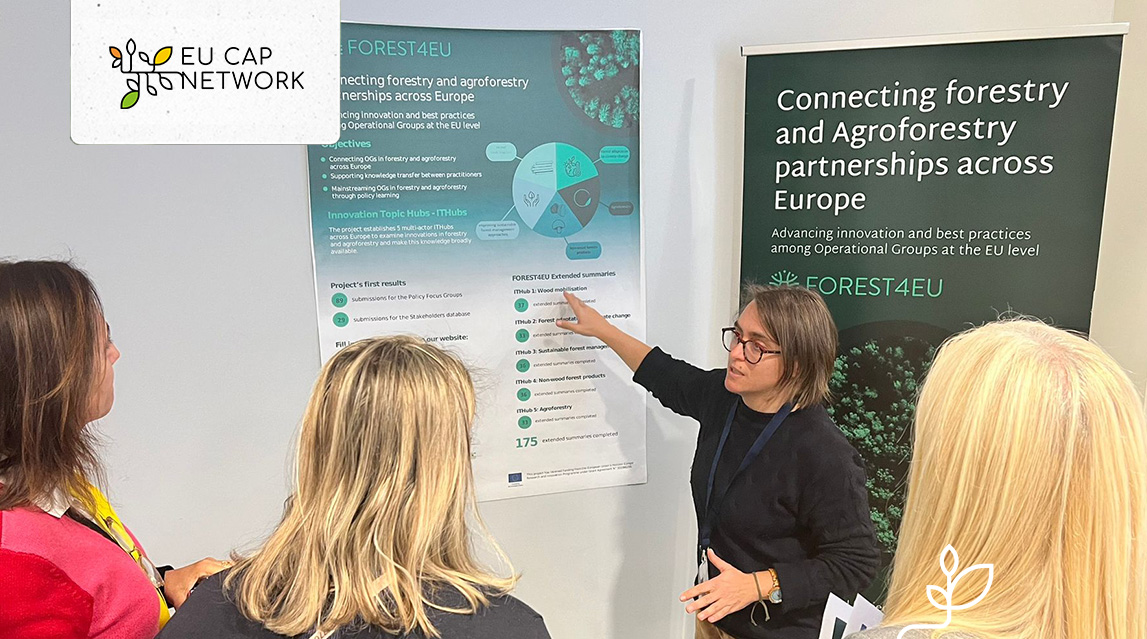 9  Horizon multi-actor projects explain participants how they support AKIS interactions for transnational knowledge flows: modernAKIS - ATTRACTISS - 
EU-FarmBook - PREMIERE - AF4EU - B-Thenet - FOREST4EU - BroilerNET - NUTRI-KNOW