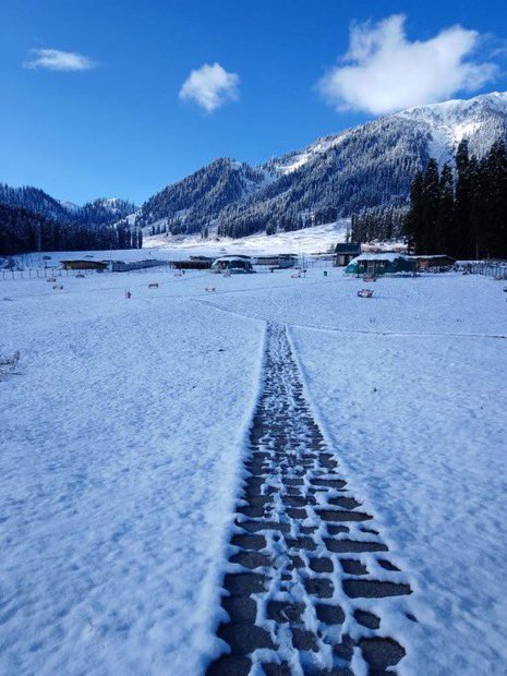 poonamguptabjp's tweet photo. This is what J&amp;K looks like right now! Here are some visuals of the fresh snowfall from the #Gulmarg, #Sonamarg , #Pahalgam and #Dodhpathri https://t.co/nIeeuWm13d