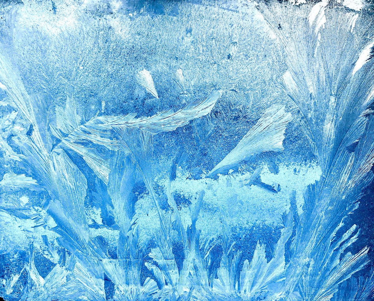 Mark Rowley tweet media