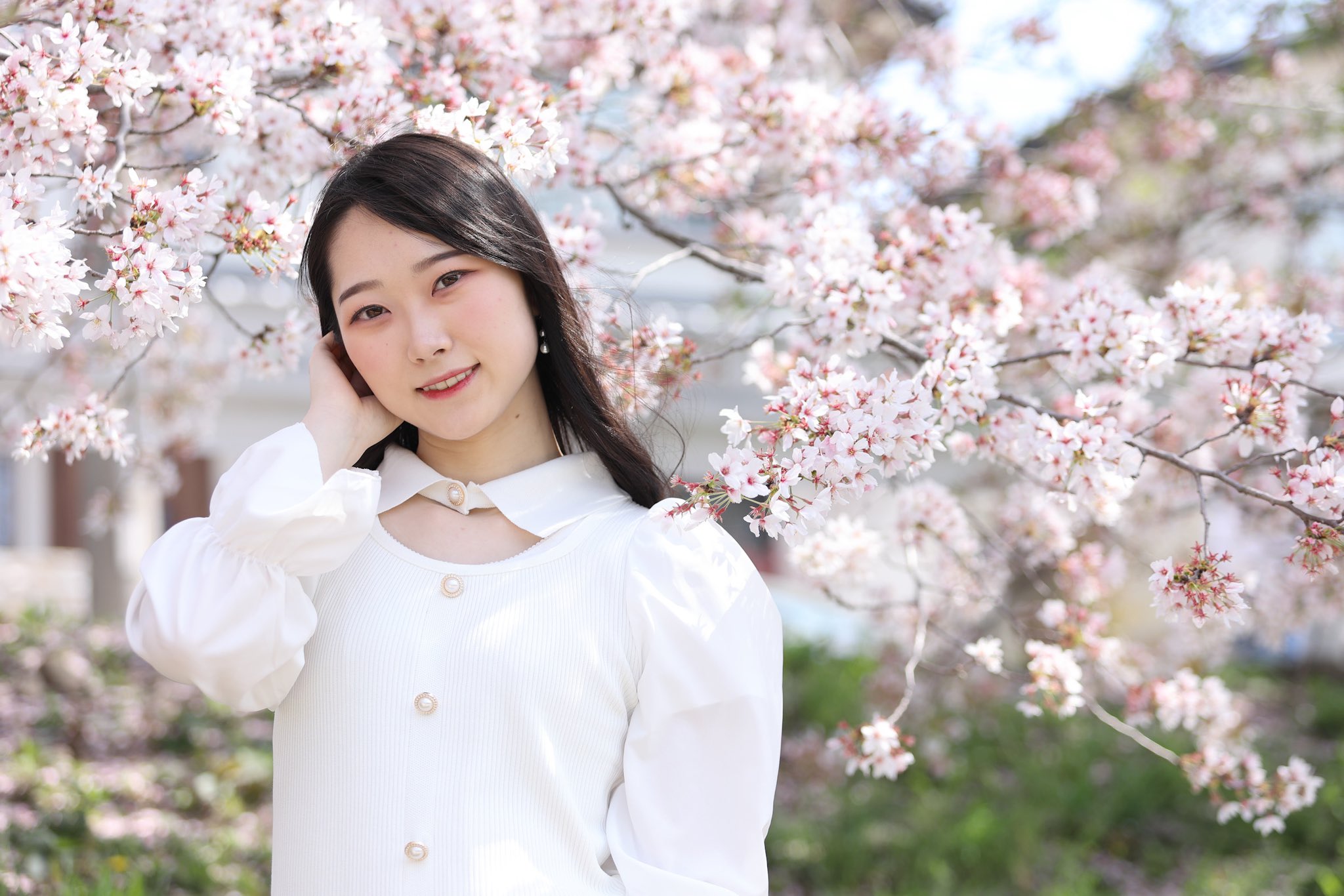 衣織ページ au60-04op03-02/ladies:WHT | alice auaa WEB SHOP