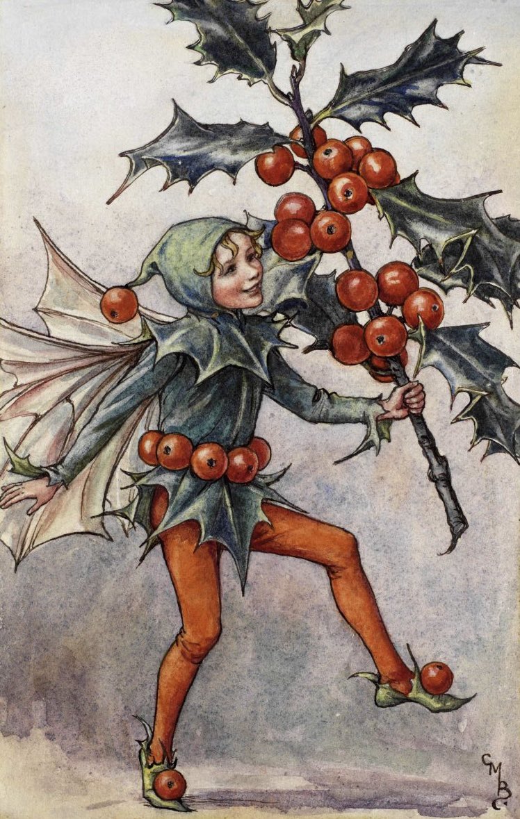 O, I am green in Winter-time,
When other trees are brown;
Of all the trees (So saith the rhyme)
The holly bears the crown!
#HollyFairy #FlowerFairies #CicelyMaryBarker #NationalTreeWeek #December