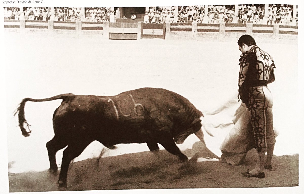 Feliz 90 cumpleaños , Curro Romero !!!