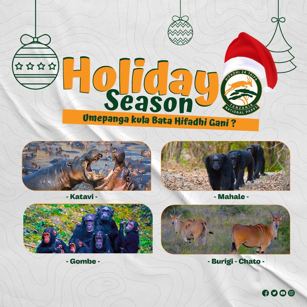 BawaAfrika's tweet photo. Think now that the time has come and you promised your family to visit the @tzparks, make sure you fulfill your promise to close the year with all the blessings, make your family happier #Gombe, #Mahale, #Katavi #BurigiChato @AngellahKairuki @AirTanzania @AbsaTanzania https://t.co/y1hyDikeCk