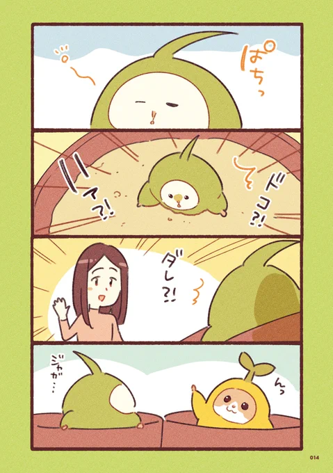 (2/3) 