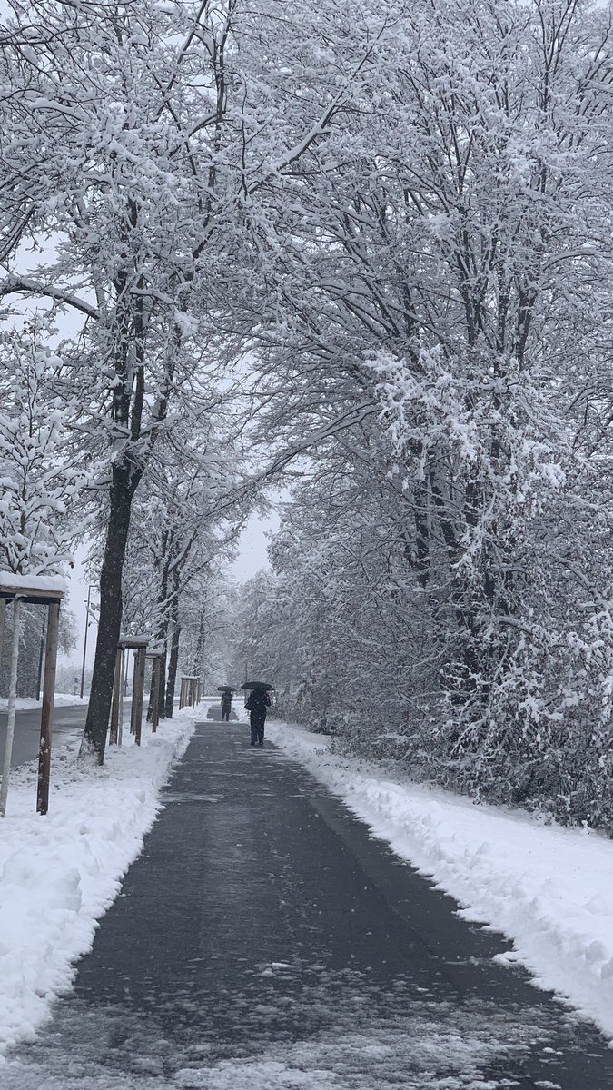 aizzatunnisa's tweet photo. Sneak peak of my winter view in München, Germany 😆❄️☃️ https://t.co/uCcyBXMJbd
