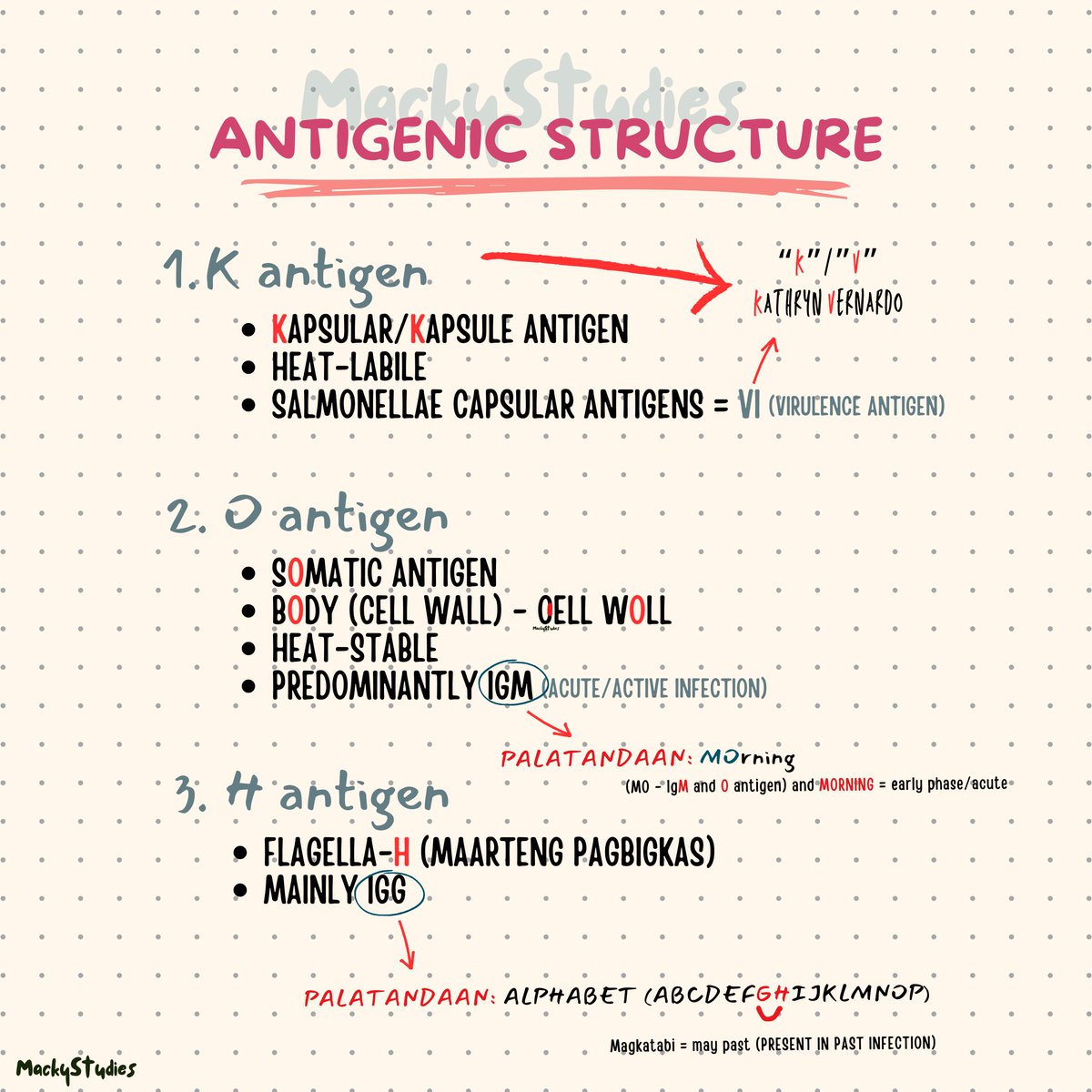 mackystudies's tweet image. 📌 Antigenic Structures (Basic Palatandaan)
*K antigen (K-apsule)
*O antigen (sOmatic)
*H antigen (flagellaH)
