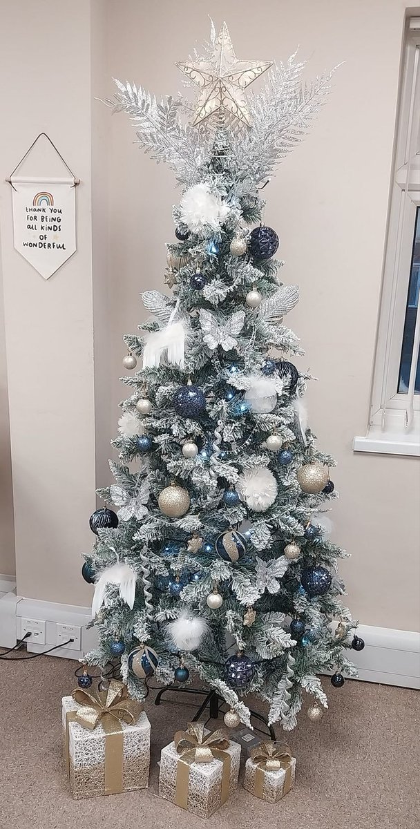 Merry Christmas! ✨ It's the 1st of December and we're really enjoying seeing all of the Christmas decorations going up across our hospital and community buildings. These wonderful trees are from staff in Women's Health Care and Westhoughton's District Nurses 🤗🎄