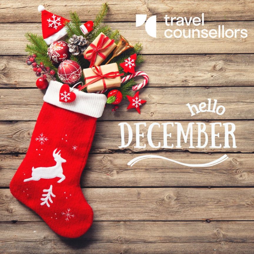 Trish Griffiths Travel tweet media